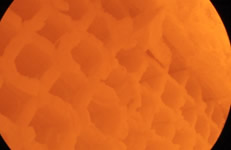 Furnace Temperature about 1,400 °C