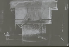 モデル実験装置での溶液対流